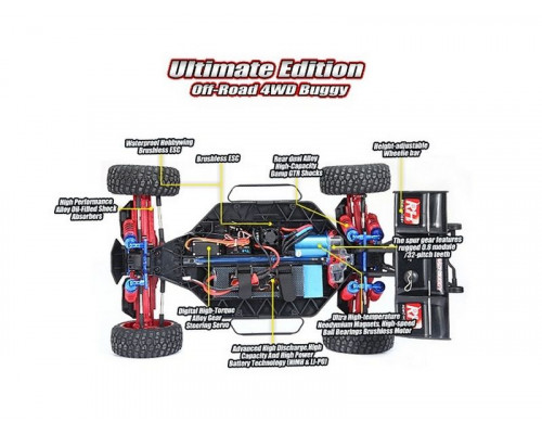 Радиоуправляемая багги Remo Hobby Scorpion Brushless (синяя) 4WD 2.4G 1/8 RTR