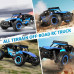 Радиоуправляемый внедорожник Volantex RC Desert King синий 2WD 2.4G 1/16 RTR