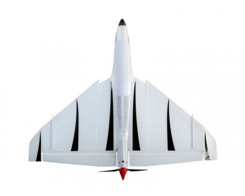 Самолет E-Flite Delta Ray One 500мм с технологией SAFE, электро, RTF