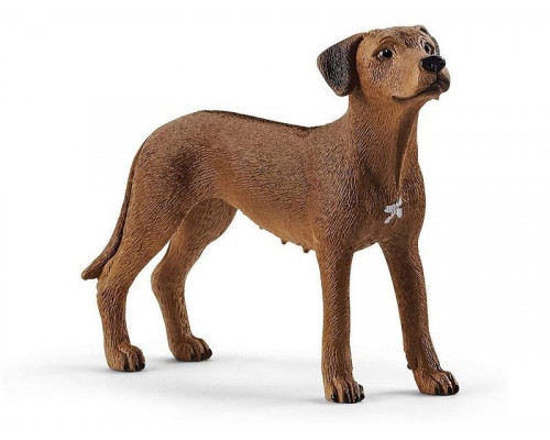 Фигурка Schleich Родезийский риджбек