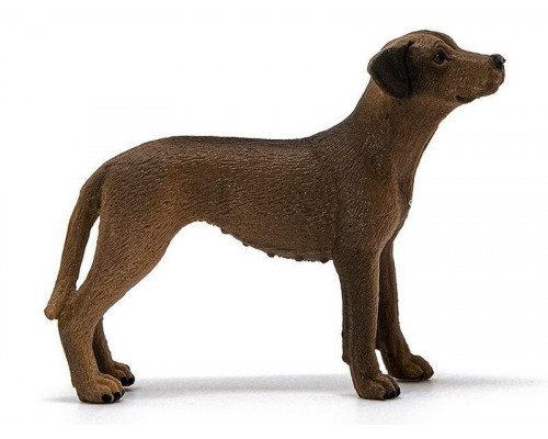 Фигурка Schleich Родезийский риджбек