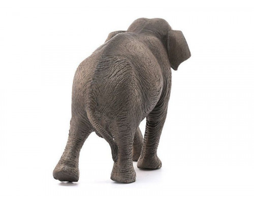 Фигурка Schleich Азиатский слон, самка