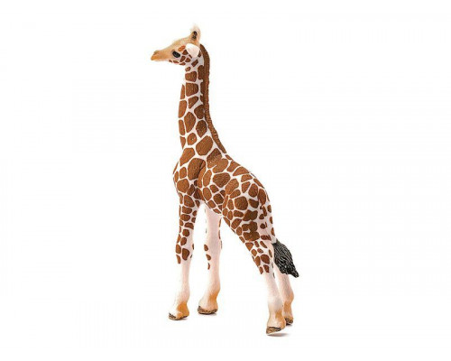 Фигурка Schleich Детеныш жирафа