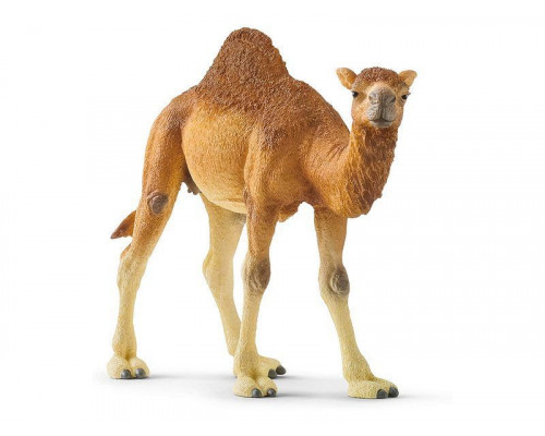 Фигурка Schleich Одногорбый верблюд