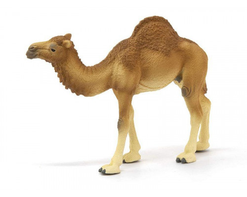 Фигурка Schleich Одногорбый верблюд