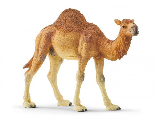 Фигурка Schleich Одногорбый верблюд