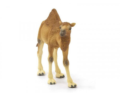 Фигурка Schleich Одногорбый верблюд