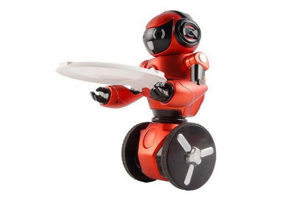 Робот gyro. Робот WL Toys красный. Робот WL Toys f4 с Wi-Fi камерой. WL-10rd. Робот. Радиоуправляемая интеллектуальная рыба-робот.